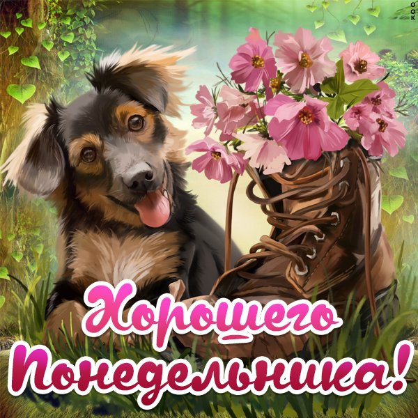 Фото отличного понедельника