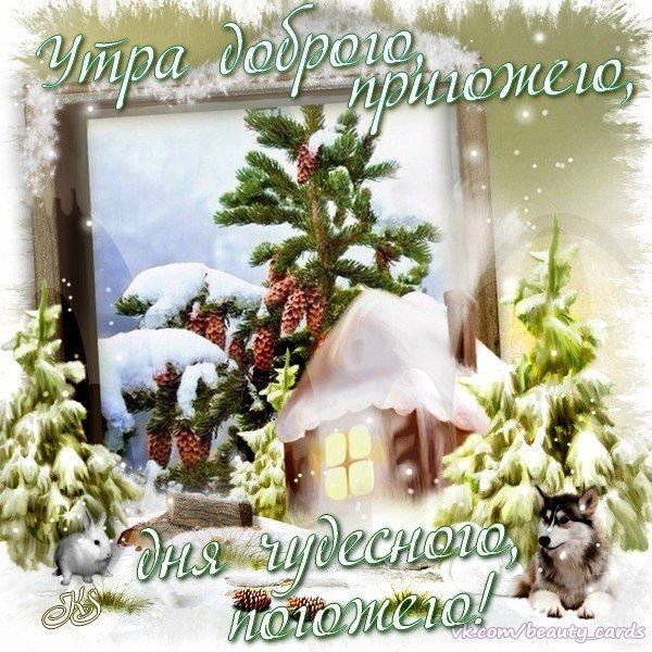С добрым зимним утром