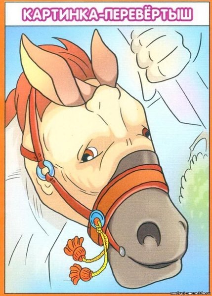 Иллюзии перевертыши