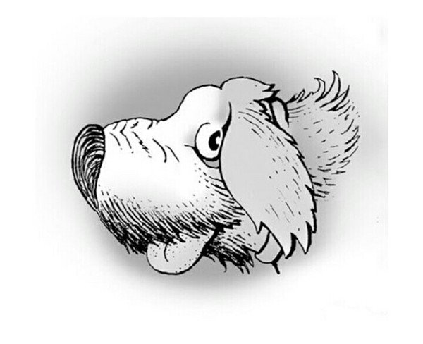 Картинки перевертыши