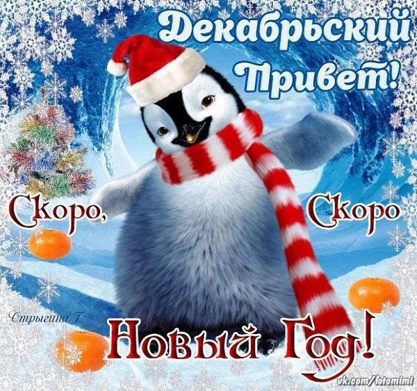 Декабрьский привет