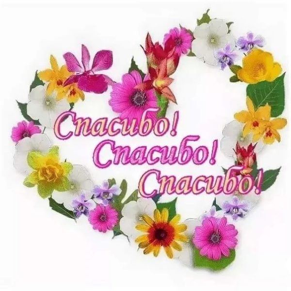 Спасибо за поздравления с днем рождения
