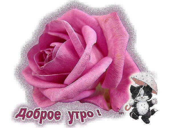 С добрым утром Иришка