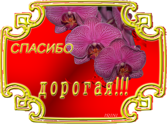 Спасибо дорогая