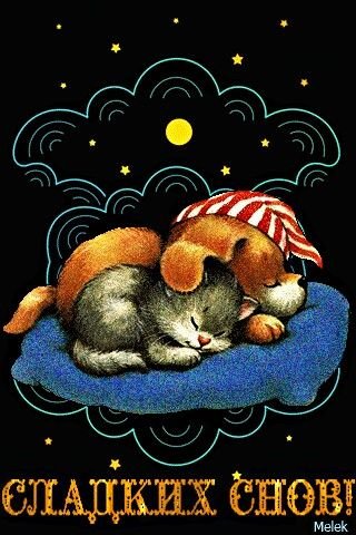 Спокойной ночи радужных снов