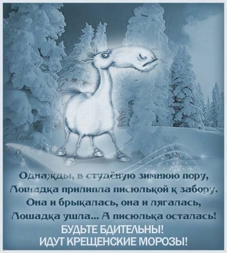 Открытки с валенками