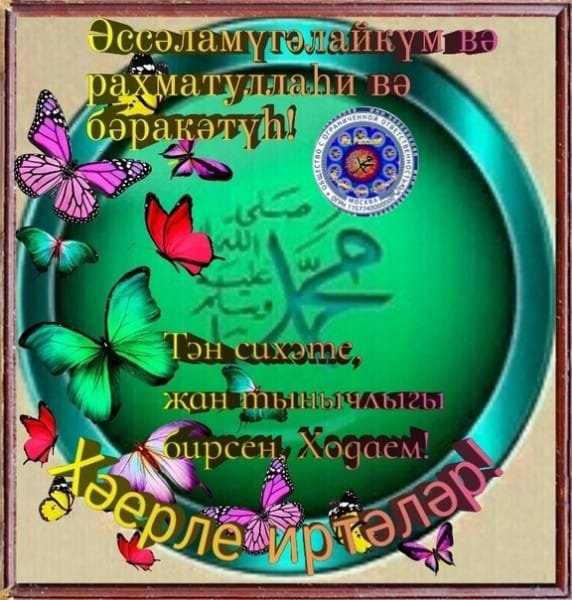 Картина Жомга иртэсе