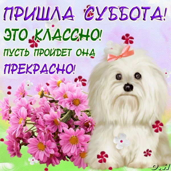 Открытки с субботой