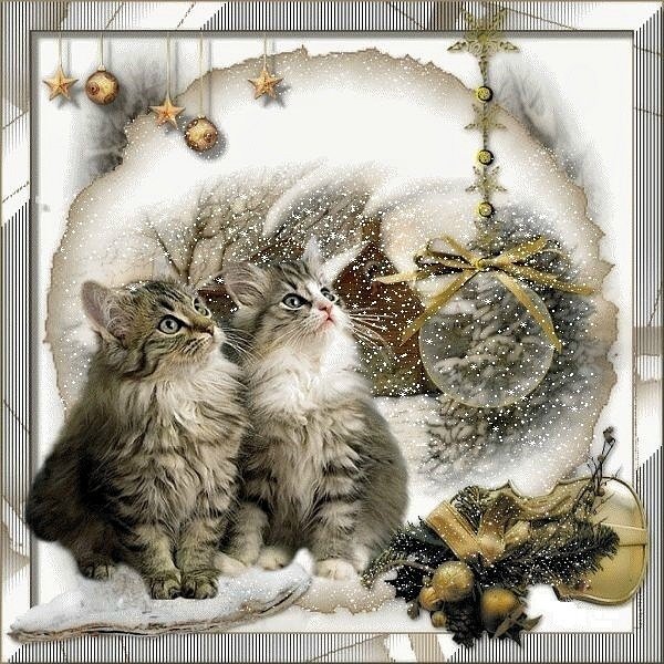 Коты поздравляют с Рождеством