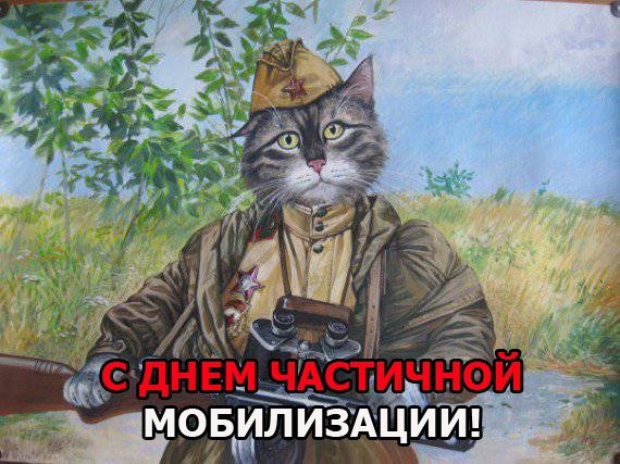 Открытки мобилизованным (44 фото)