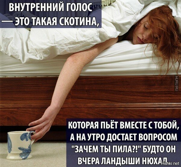 Похмелье юмор