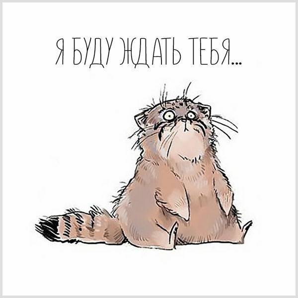 С выходом на работу после отпуска прикольные