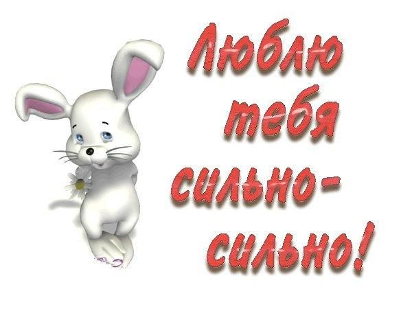 Люблю тебя Зайка