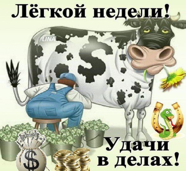Удачной недели прикольные
