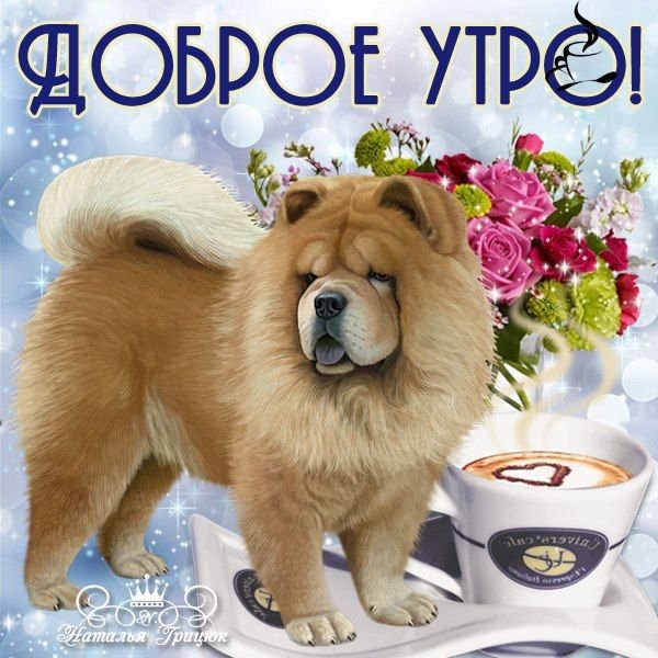 Открытки с добрым утром с собачками