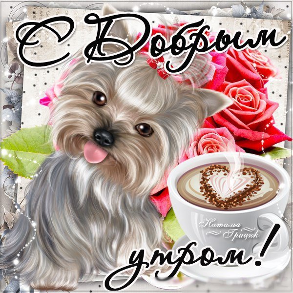 Открытки с добрым утром с собачками