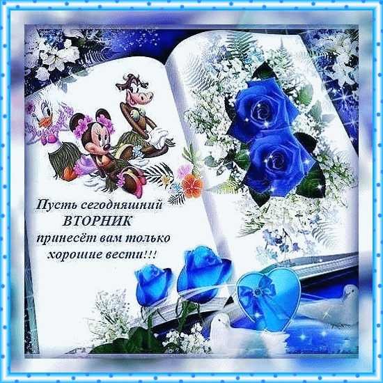 Доброго зимнего дня с белками