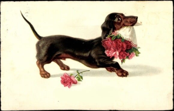 Открытки с таксами с днем рождения