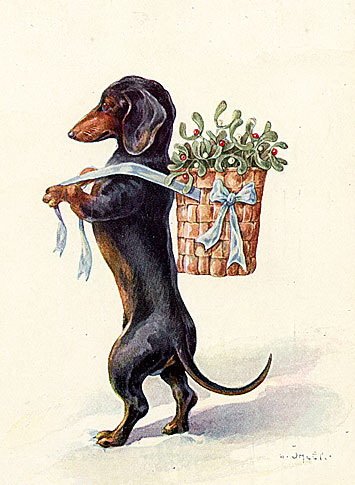 С днем рождения такса