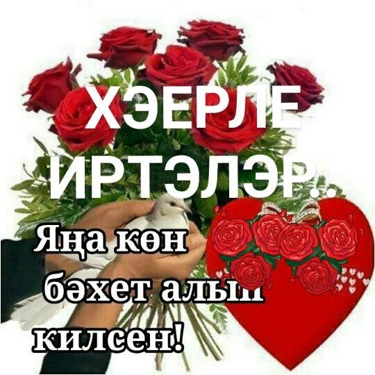 Добрый день на татарском языке