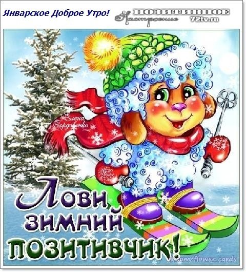 Доброе зимнее утро с мандаринами