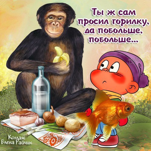 Горилка прикол