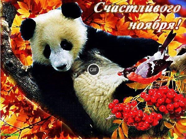 Поздравление с 1 ноября