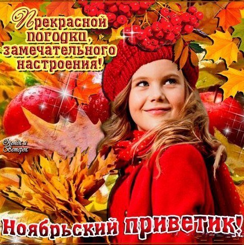 Ноябрьский приветик