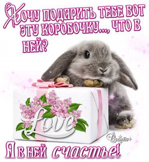 С годом кролика открытки с пожеланиями (39 фото)