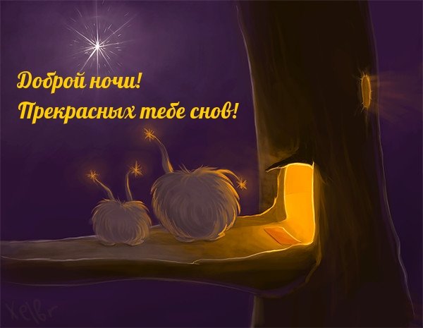Спокойной ночи мужчине нежные