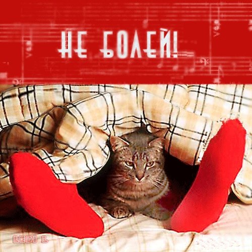 Не болей выздоравливай