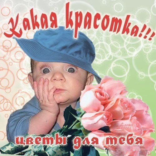 Красотульки открытки