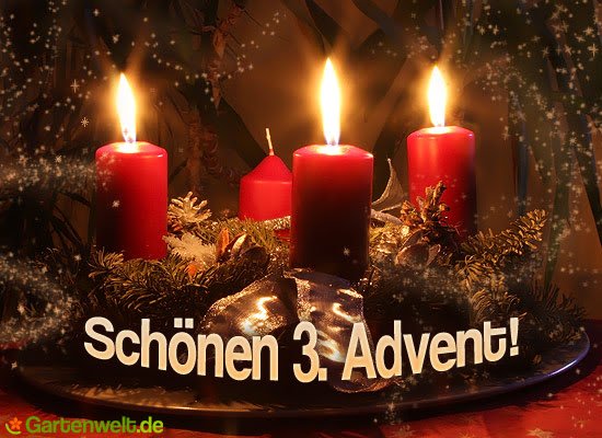 Schönen 1 Advent открытки