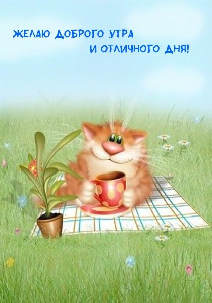 Котики Алексея Долотова доброе утро