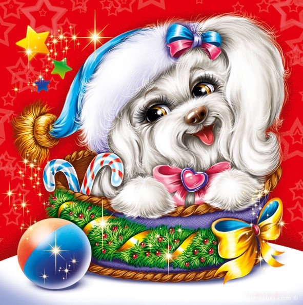 Виктория Орфанова собачки