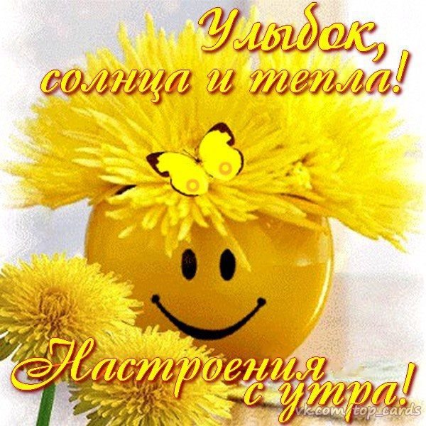 Доброе утро и отличного настроения