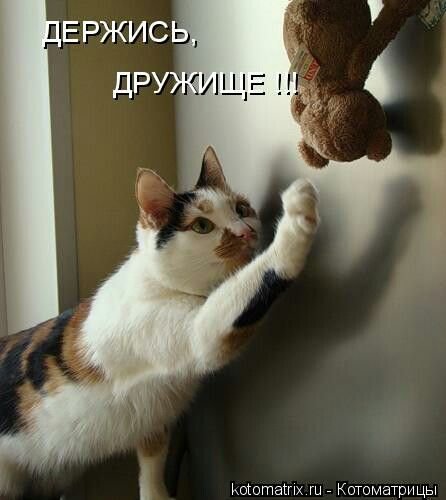 Не вешай нос