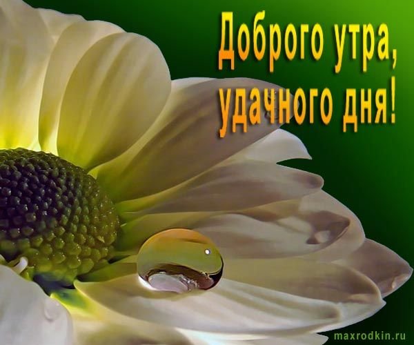 С добрым утром августа пожелания