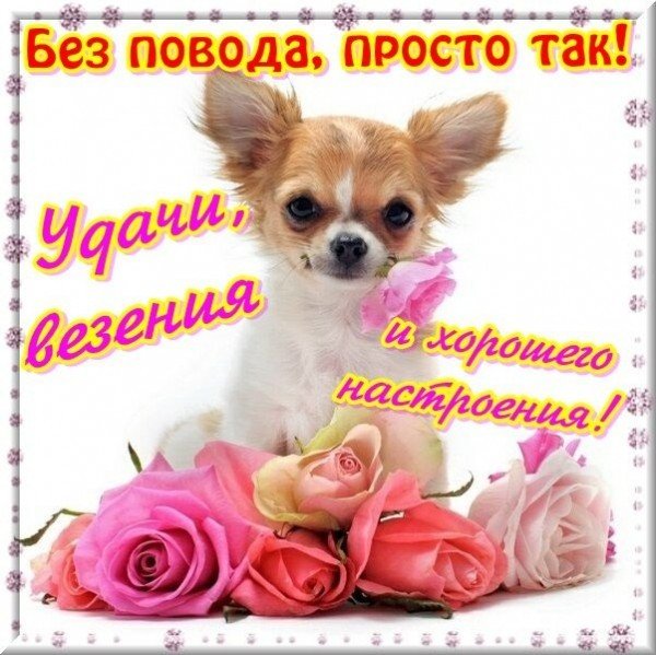 Клубника с пожеланиями