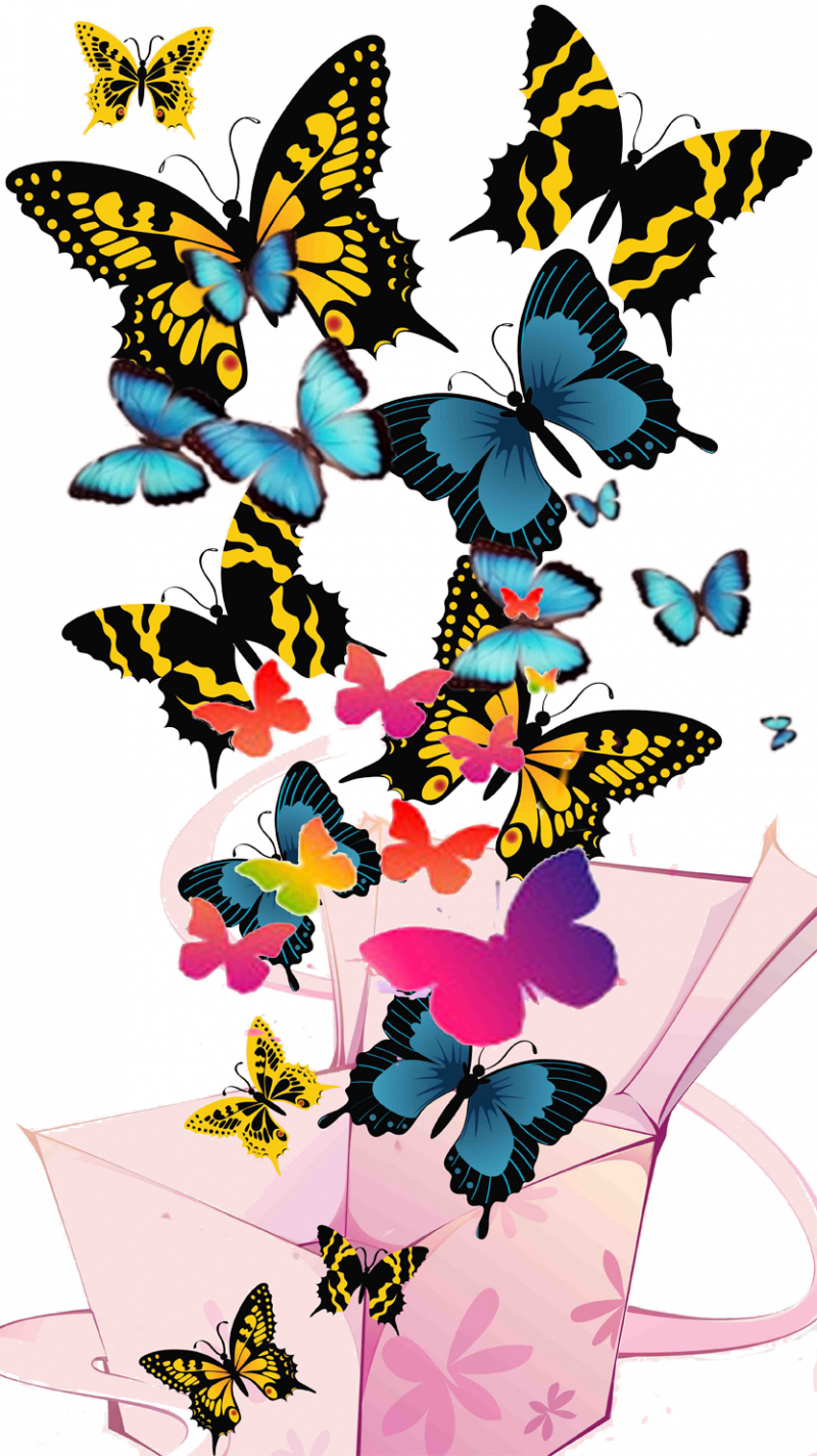 Картинка день бабочек. Бабочки. Открытка бабочка. Бабочки цветочки. Бабочки цветные.