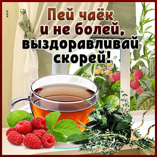 Не болей выздоравливай