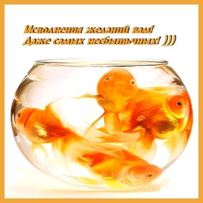Золотая рыбка открытка