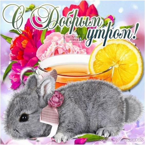 Открытки с кроликами доброе утро