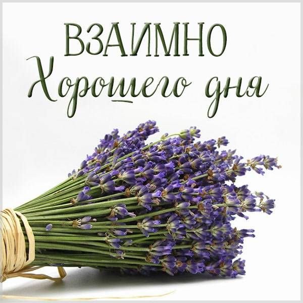 Спасибо взаимно