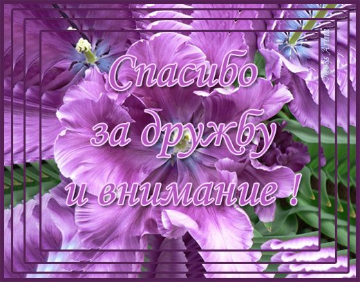 Красивая надпись взаимно