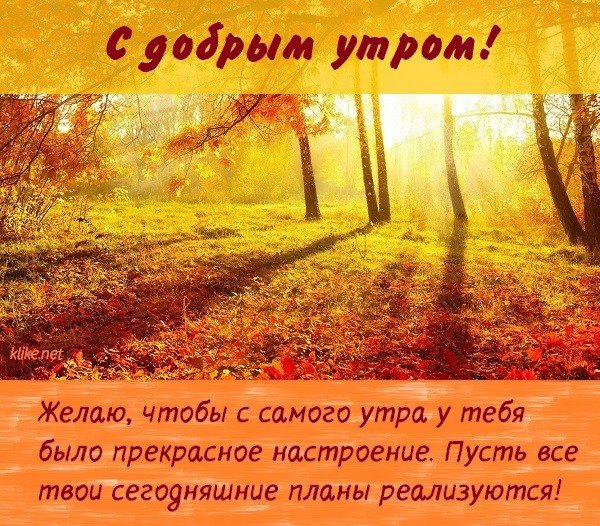 Открытки с добрым утром сыночек