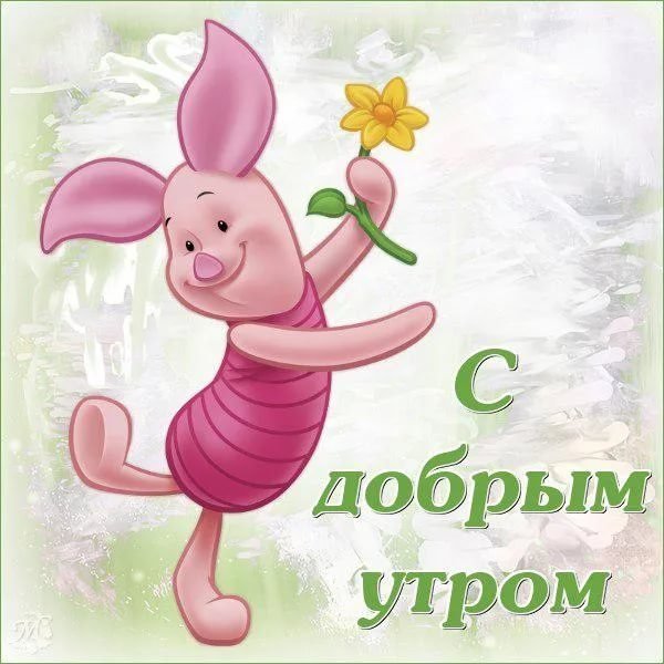 Пожелания с добрым утром прикольные