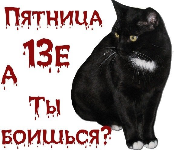 Пятница 13 кот