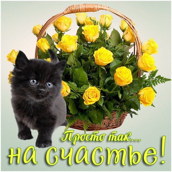 Пожелания просто так