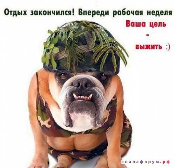 Прикольные поздравления с 1 рабочим днем